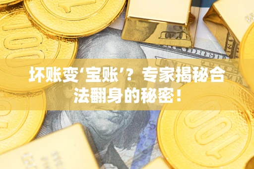 济南坏账变‘宝账’？专家揭秘合法翻身的秘密！