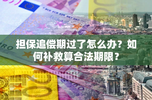 济南担保追偿期过了怎么办？如何补救算合法期限？