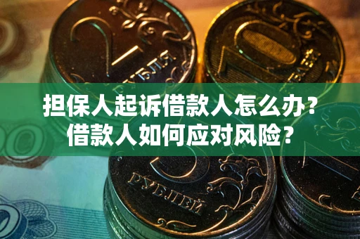 济南担保人起诉借款人怎么办？借款人如何应对风险？