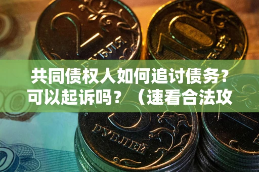 济南共同债权人如何追讨债务？可以起诉吗？（速看合法攻略）